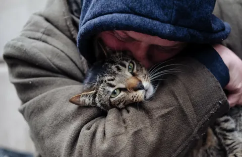Котики — кадр 5