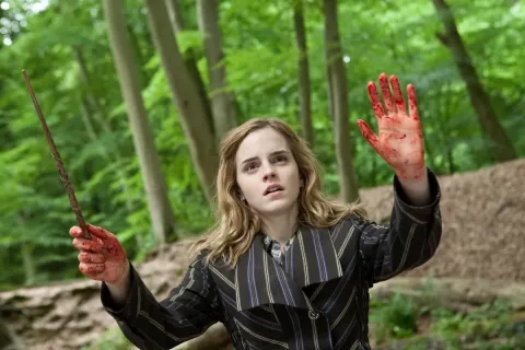 Гарри Поттер и Дары Смерти: Часть I — кадр 11