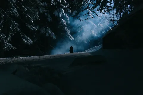 Голоса — кадр 7