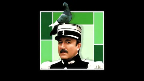 Месть Розовой пантеры — кадр 10
