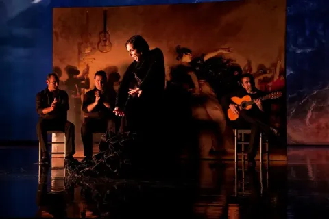 Фламенко, фламенко — кадр 9