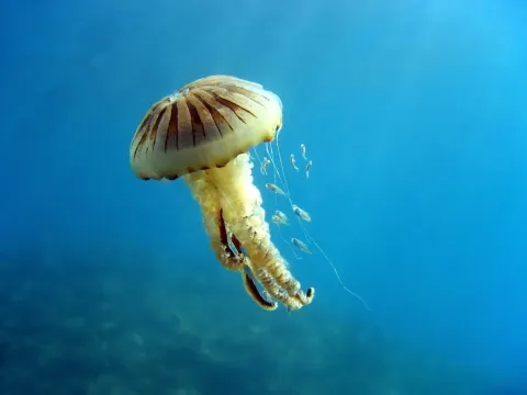 Гонка жизни — кадр 7