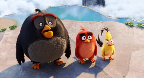 Angry Birds в кино — кадр 12