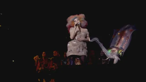 Бьорк: Biophilia Live — кадр 9