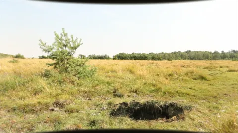 Fantastic Shorts — кадр 6