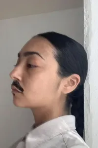Фокс Макси