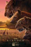 Королевство смотреть онлайн бесплатно