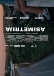 Асимметрия смотреть онлайн бесплатно