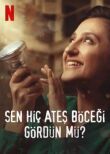 Вы когда-нибудь видели светлячков? смотреть онлайн бесплатно