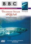 BBC: Большая белая акула смотреть онлайн бесплатно