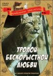 Тропой бескорыстной любви, Рысь выходит на тропу смотреть онлайн бесплатно