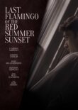 Последний фламинго красного летнего заката смотреть онлайн бесплатно