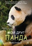 Мой друг панда смотреть онлайн бесплатно