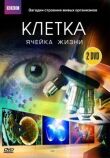 BBC: Клетка смотреть онлайн бесплатно