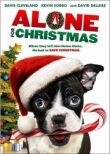 Одни на Рождество смотреть онлайн бесплатно
