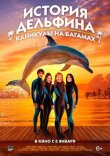 История дельфина: Каникулы на Багамах смотреть онлайн бесплатно