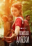 В поисках Аляски смотреть онлайн бесплатно