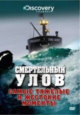 Смертельный улов смотреть онлайн бесплатно