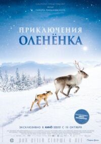 Приключения олененка