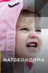 NatGeo@Дома