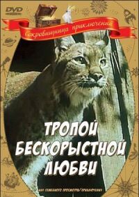 Тропой бескорыстной любви, Рысь выходит на тропу
