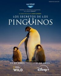 Секреты пингвинов