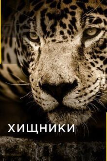 Хищники