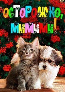 Осторожно, мимими!
